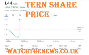 Tern Share Price